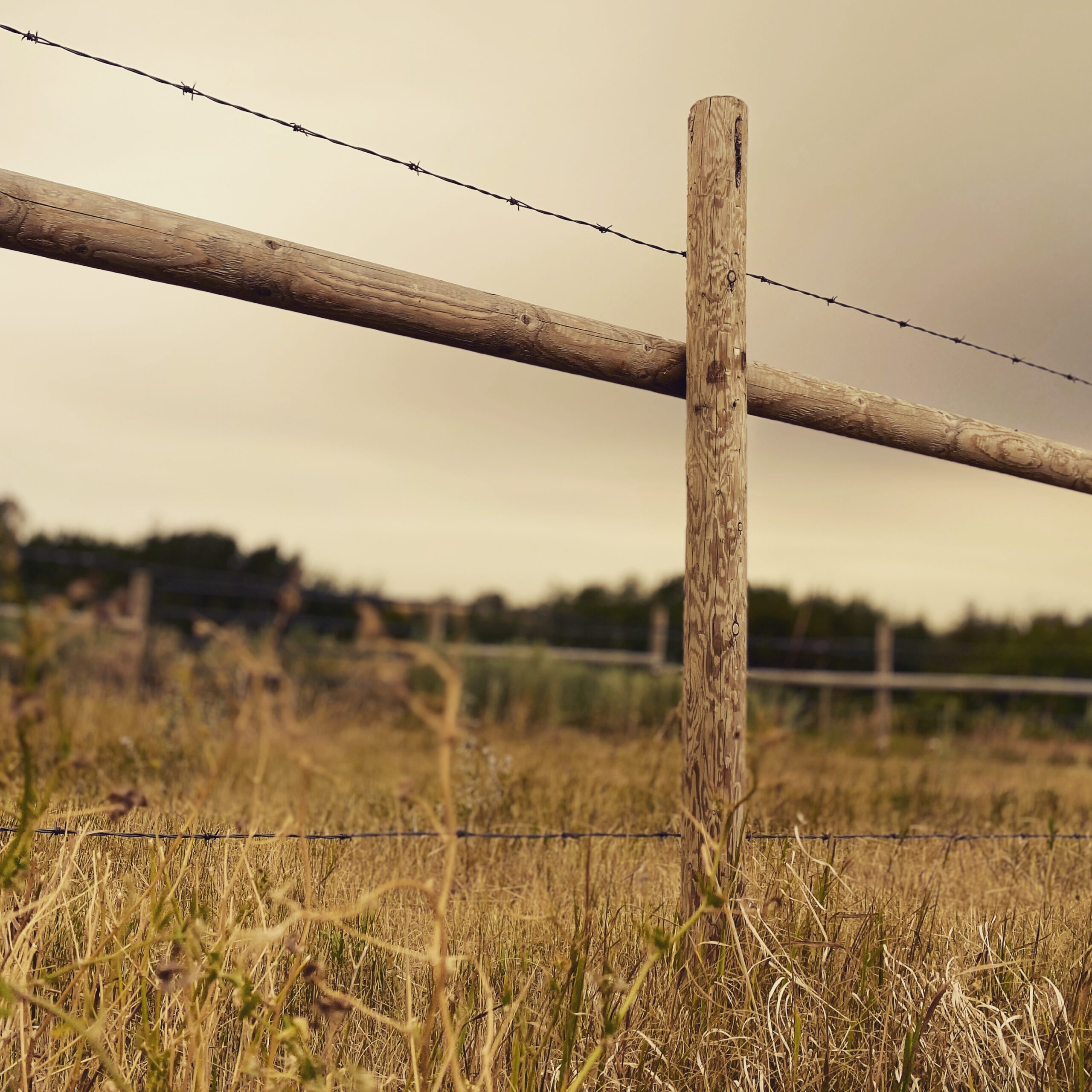 A fence line running out across open prairie farmland